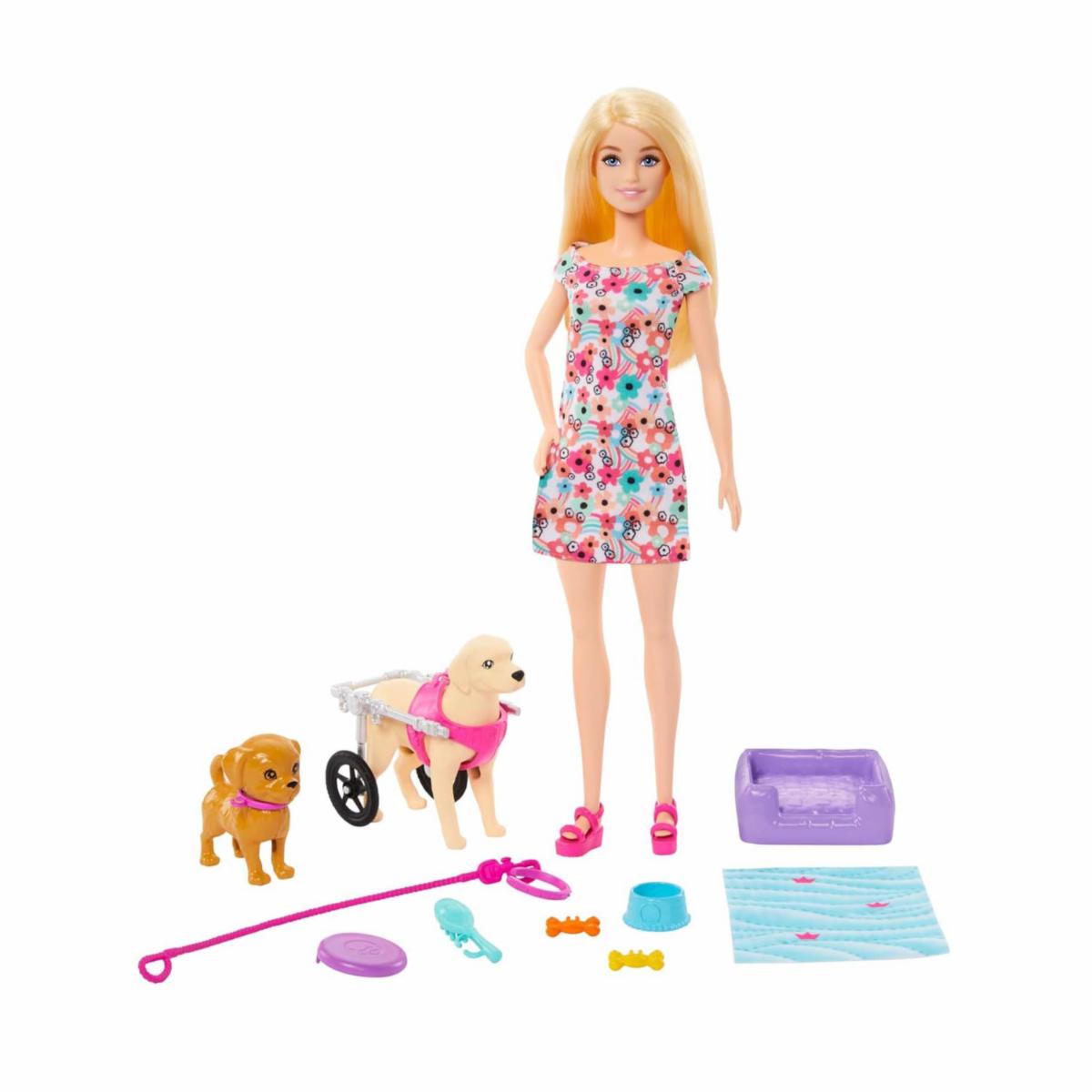 Set De Muñeca Barbie Paseadora De Perros En Silla De Ruedas MATTEL Incluye Accesorios
