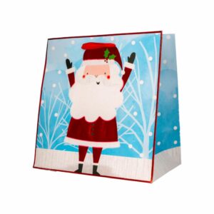 Bolsa De Regalo Cuadrada Arte De Papel THE LINDY BOWMAN Grande