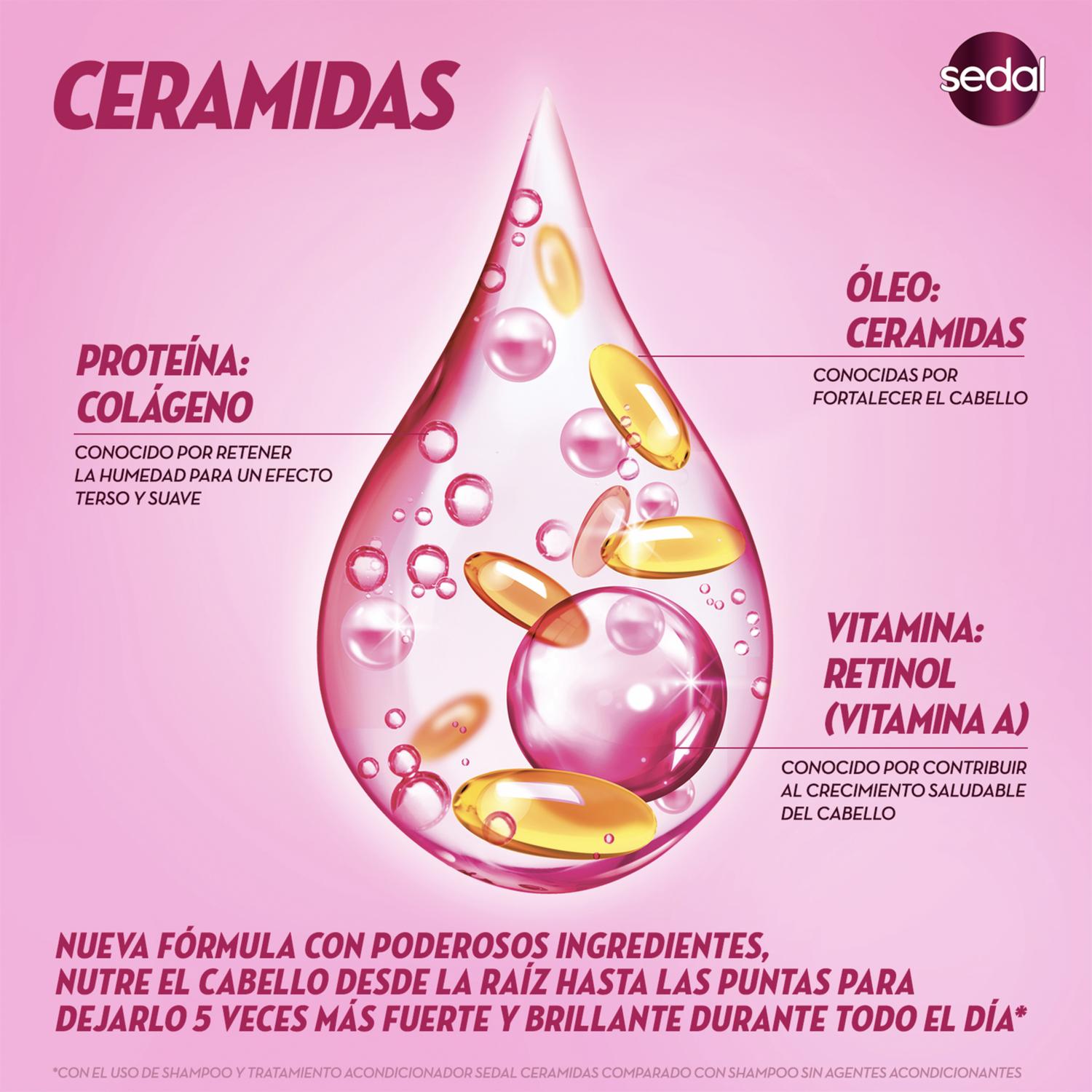 Shampoo Con Ceramidas SEDAL 340 Ml - Imagen 6