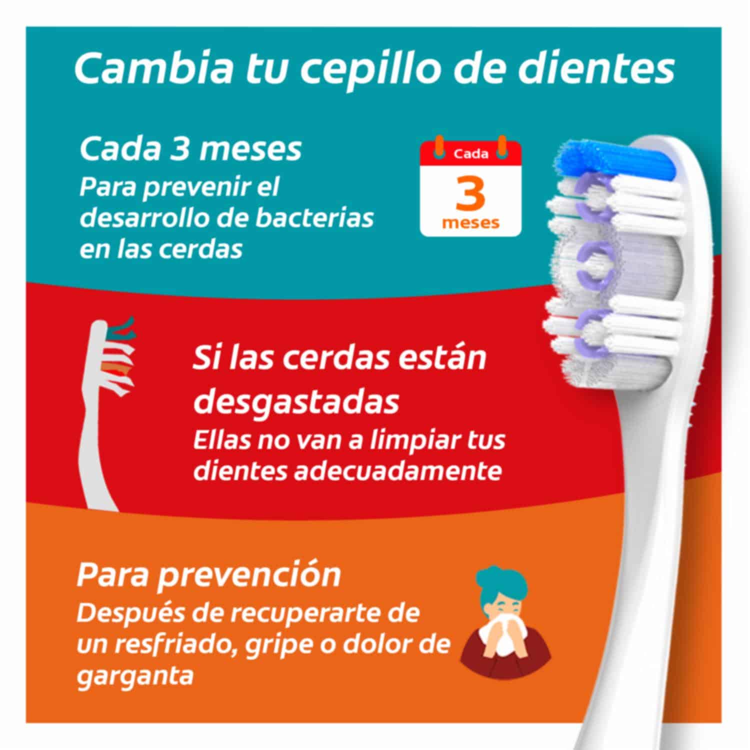 Cepillo Dental Triple Acción Extra Blancura COLGATE 1X2 Unidades - Imagen 10