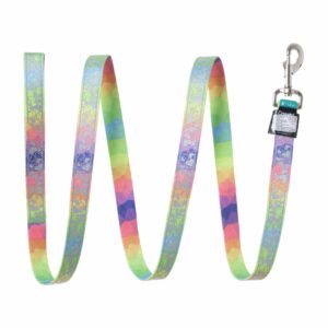 Correa Estampada Arco Iris Corazones COASTAL LAZER 1"X6