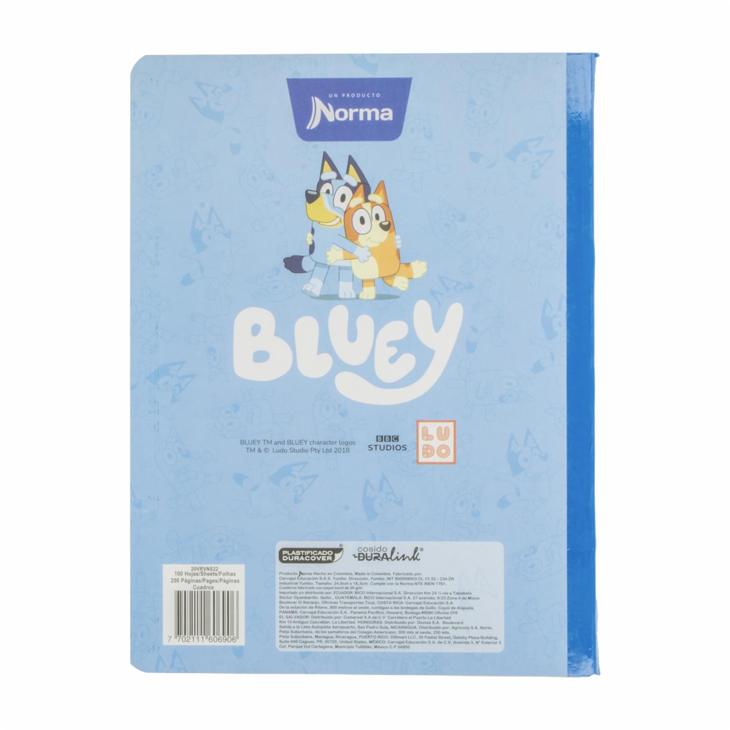 Cuaderno Cosido Bluey Cuadros Parvulario NORMA 100 Hojas