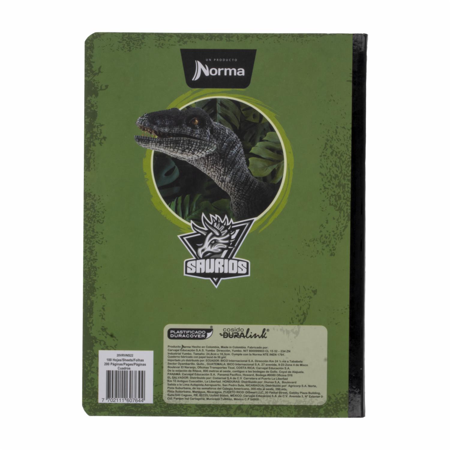 Cuadernos Cosido Saurios Gm Cuadros NORMA 100 Hojas