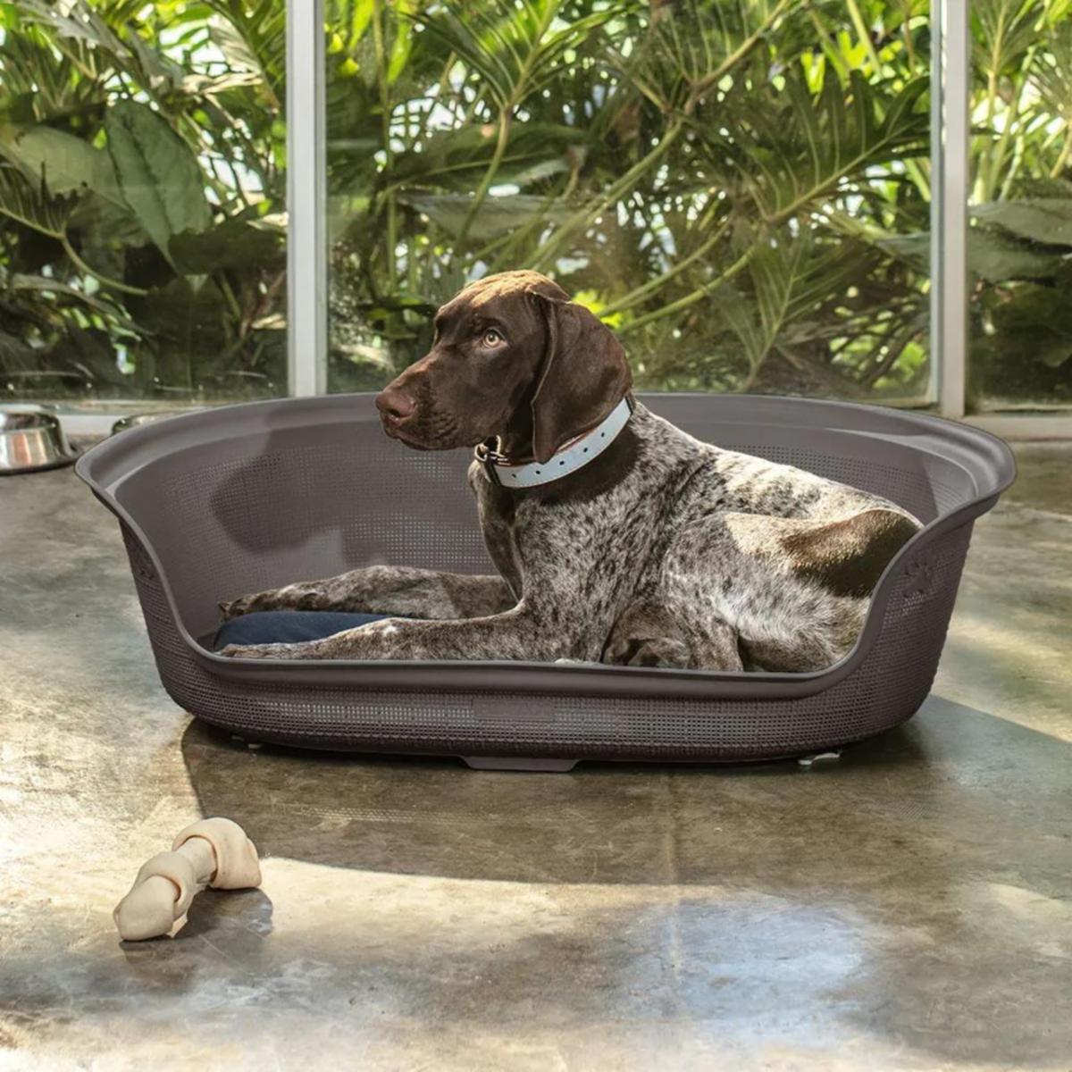 Cama Para Perro Diseño Mocca RIMAX Unidad - Imagen 3
