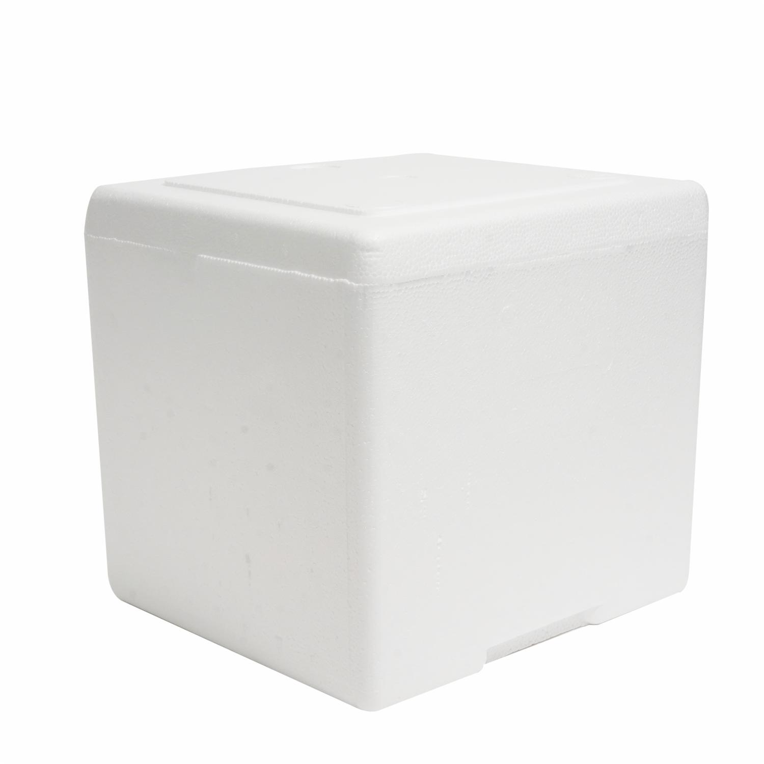 Hielera Térmica Con Tapa PLASTEX 9 Litros - Imagen 2