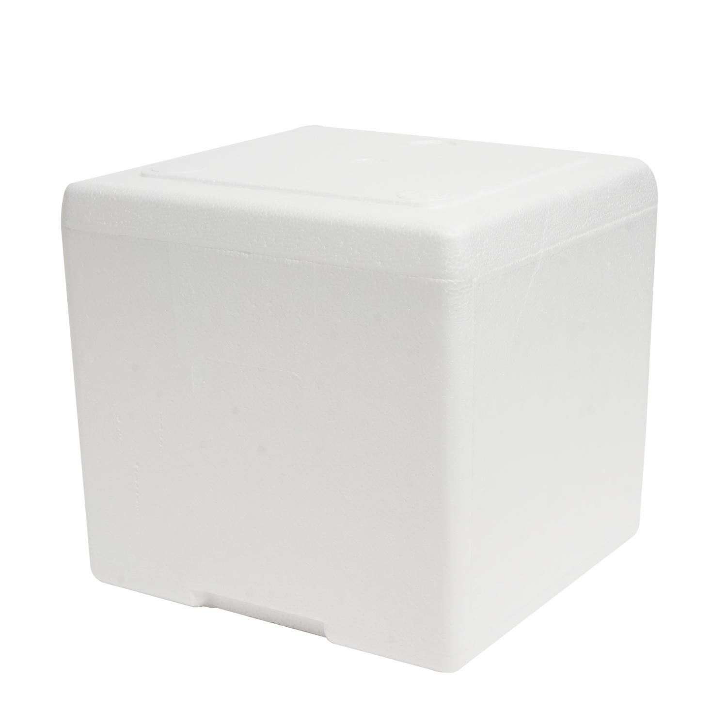 Hielera Térmica Con Tapa PLASTEX 9 Litros - Imagen 3