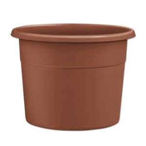 Macetero De Jazmín Mediano Terracota CASA PICA Unidad