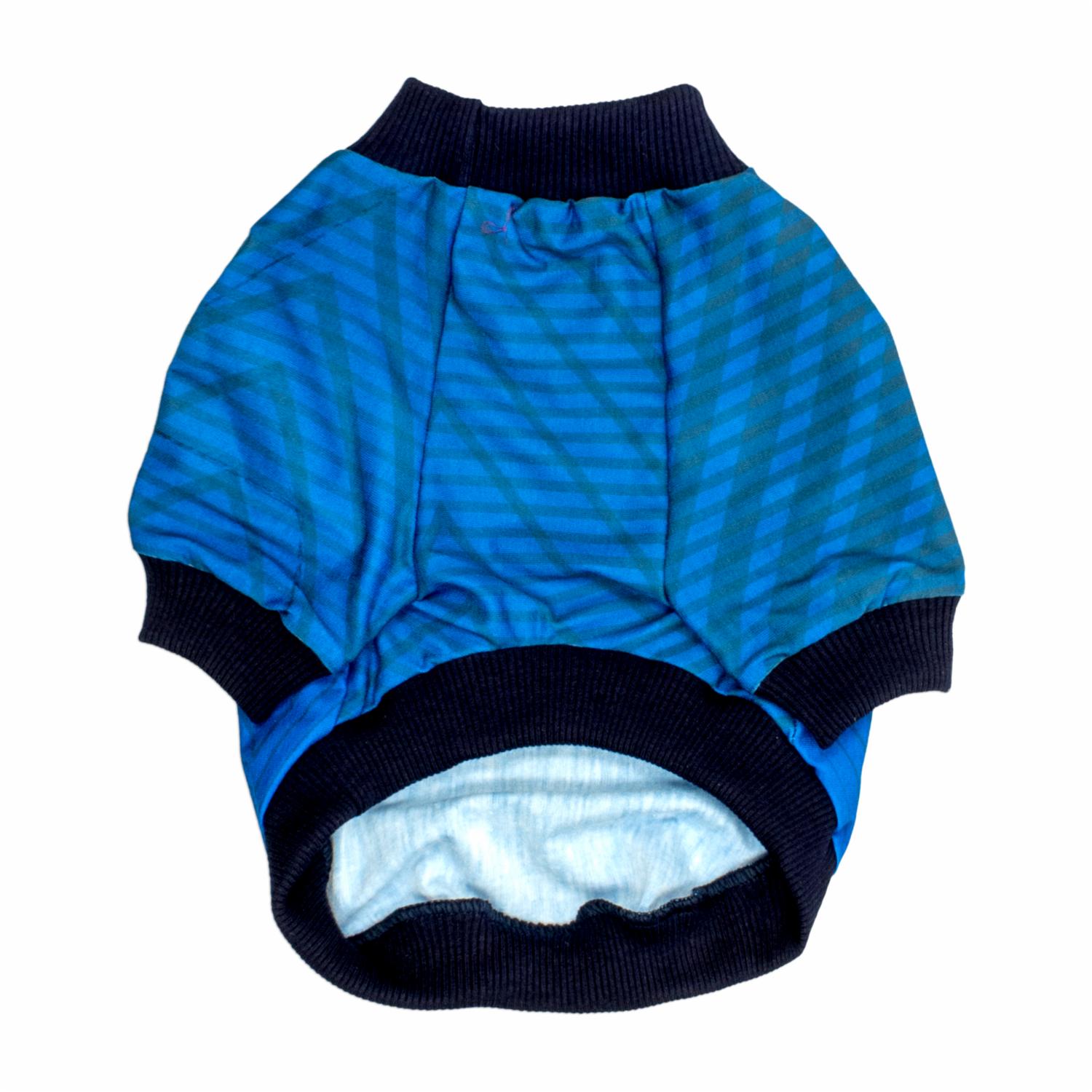 Camiseta Para Mascota Selección Ecuador Azul THE PET FACTORY Talla Extra Pequeña - Imagen 2