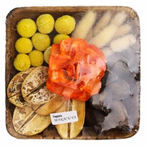 Set Difusor Bandeja Terra BELINDA FLOWERS Surtido