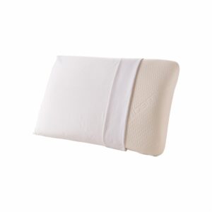 Protector De Almohada Impermeable CHAIDE Algodón