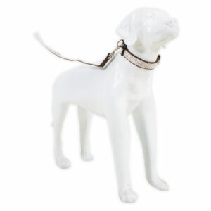 Collar Para Mascota Y Traílla Acolchada THE PET FACTORY Grande