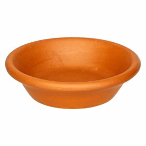 Plato De Estándar 10 Morena Pura MESTIZA Unidad