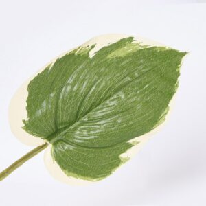 Hoja Decorativa FREE HOME Verde