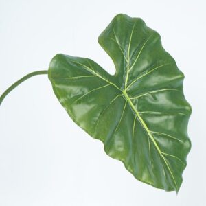 Hoja Corazón FREE HOME Verde