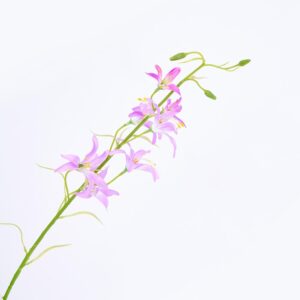 Ramo Flor FREE HOME Lila