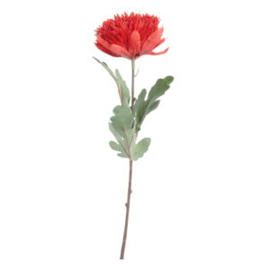 Flor Monuda FREE HOME Rojo