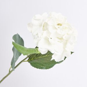 Hortensia 73 X 15 Cm FREE HOME Blanco