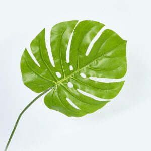 Hoja Balazo FREE HOME Verde