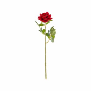 Mini Rosa Rojo FREE HOME 31 X 7Cm