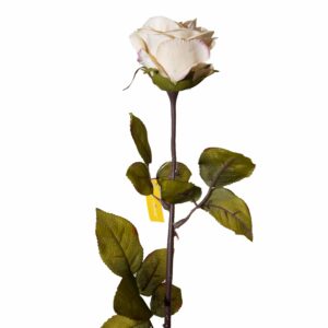 Rosa Crema FREE HOME Artificial