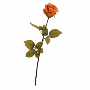 Rosa 70 X 8 Cm FREE HOME Naranja