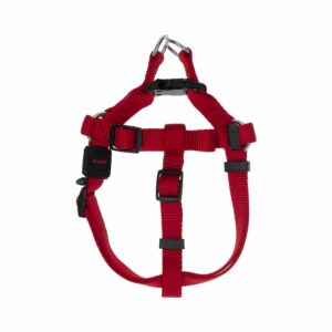 Correa Con Sujetador De Pecho Rojo DOCO Unidad
