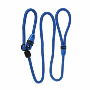 Correa Para Perro Reflectiva Color Azul DOCO Unidad