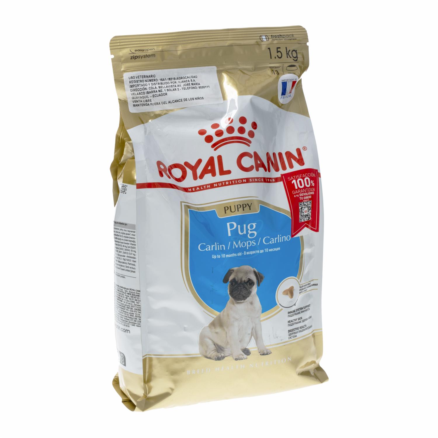 Chaqueta impermeable de invierno SnugPaw para Frenchie, image size:1500x1500