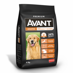 Alimento Para Perros Adultos Razas Medianas Y Grandes AVANT 4 Kg