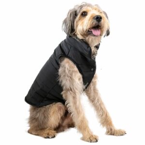 Chaleco Acolchado Para Mascota Color Negro MR. & MRS. Talla Mediano