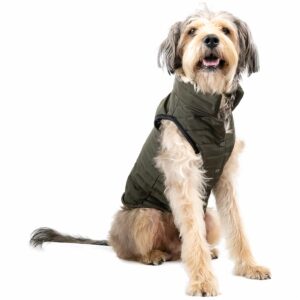 Chaleco Acolchado Para Mascota Color Verde MR. & MRS. Talla Grande