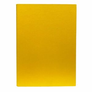 Carpeta 2 Argollas Bicolor Amarilla IDEAL A4