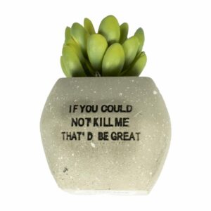 Planta Artificial En Macetero CASAMIGA 1 Pieza