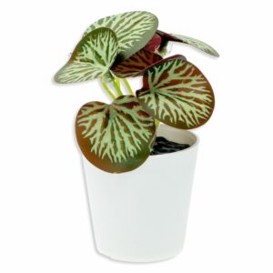 Maceta Decorativa Hojas Verdes Blanco Artificial DONGZHI 20 Cm