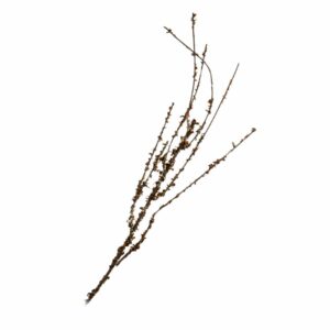 Rama Artificial Seca Decorativa KOOME 97 Cm