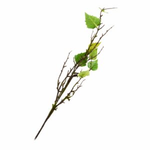 Rama Artificial Decorativa KOOME 78 Cm