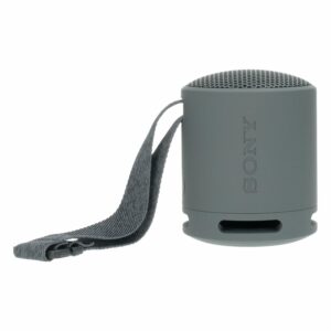 Parlante XB100 SONY Negro