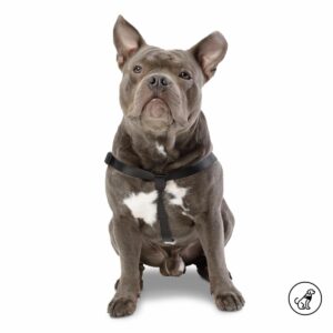 Arnés Para Perro Bruno De Caminata TOTTO PET´S Talla Mediano