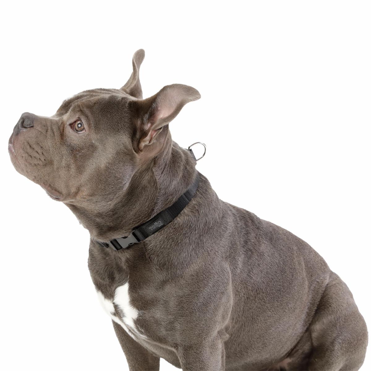 Collar De Mascota Ajustable Mylu TOTTO PET´S Talla Mediano