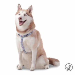 Arnés Para Perro Figgo De Caminata TOTTO PET´S Talla Extra Grande