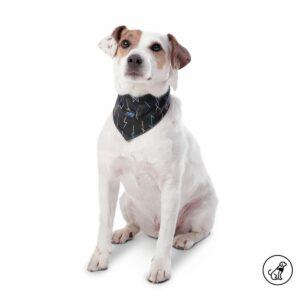 Pañuelo De Mascota Color Menta Doble Faz Reversible TOTTO PET´S Talla Mediano