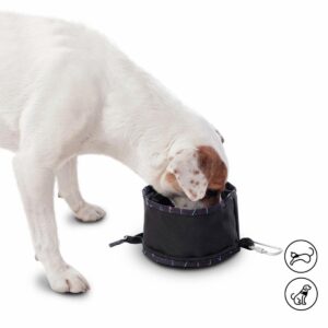 Bebedero Para Mascota Portátil Vito TOTTO PET´S Talla Única