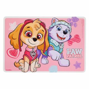 Individual Paw Patrol Sky DISNEY Rectangular
