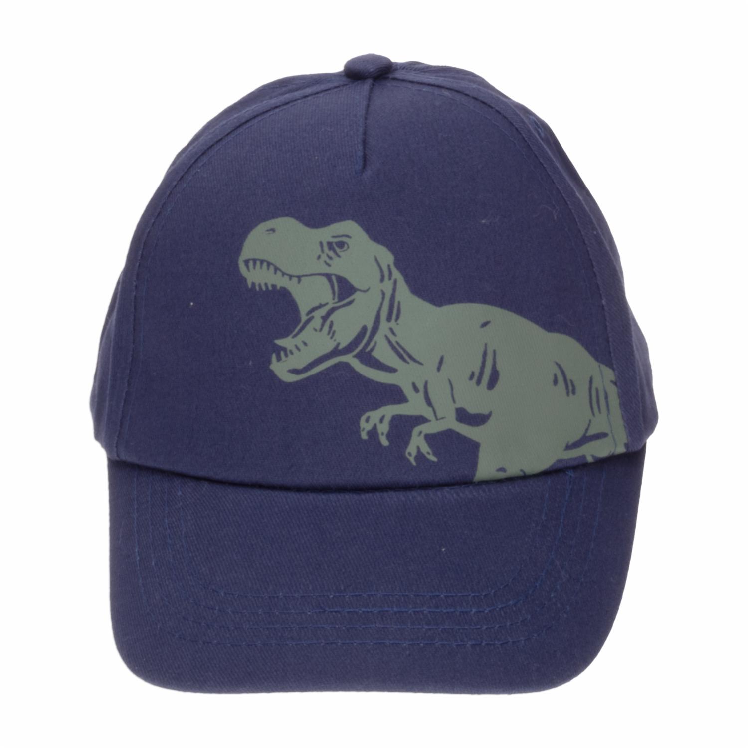 Set Niño Gafas Y Gorra Azul Diseño Dino AE - Imagen 3