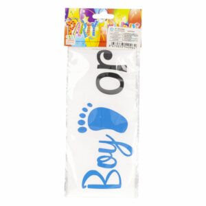 Banda Boy Or Girl PARTY FLAGS Blanca