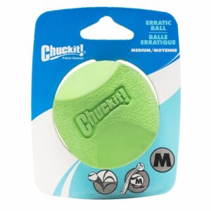 Pelota Para Mascota Chukit Errática JW Mediano