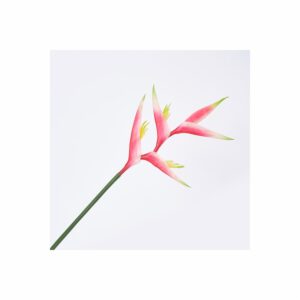 Flor Ave FREE HOME Rojo