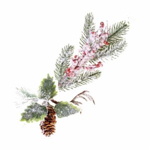 Pick Berry Nevado JOY 32 Cm