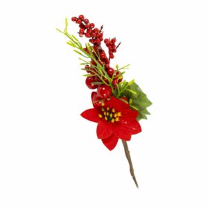 Pick Berry Ponsetia JOY 24 Cm