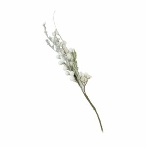 Pick Berry Blanco JOY 60 Cm